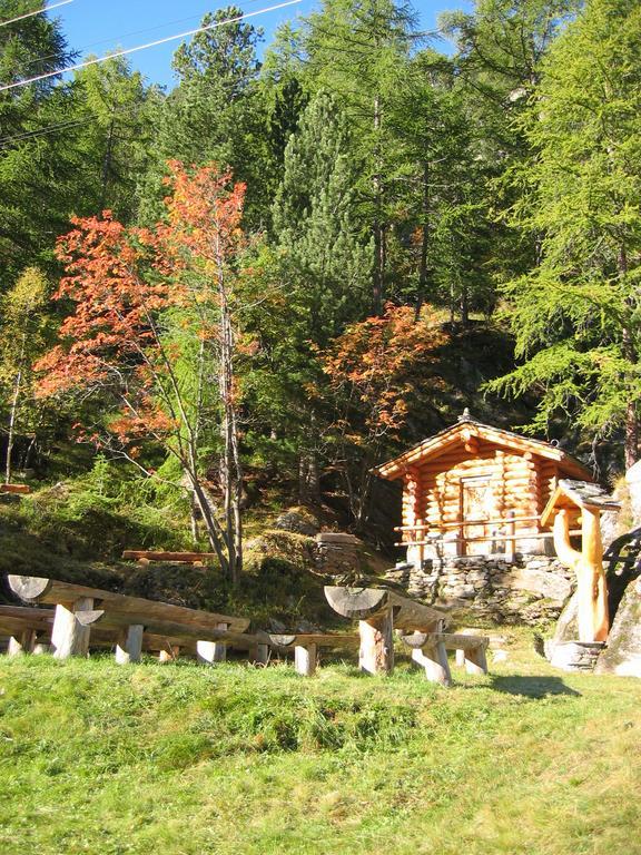 סאס-גרונד Chalet Stadel מראה חיצוני תמונה